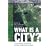 What Is a City?: Rethinking the Urban after Hurricane Katrina