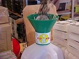 New Fit & Fill Funnel Green Birdseed Funnel Hands Free Filling High Quality Modern Design Popular