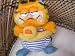 Search : Garfield Athletes Vintage Dakin Plush Toy 10" ; Swimming with my Rubber Duckie Inner Tube