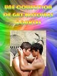 Une Collection De Gay Histoires Courtes