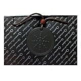 Scalar Energy Quantum Pendant