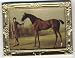 Miniature Print of a Famous Equestrian Painting