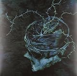 Instinct Decay