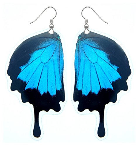Real Butterfly Wing Earrings - Papilio Ulysses Butterfly Earrings (Laminated)