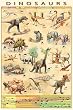 1art1 36799 Poster Dinosaures Esp�ces et �volution 91 X 61 cm