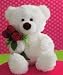 Hallmark Valentines VHG6035 Lil Lovebud Plush Bear
