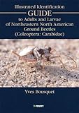 Illustrated Identification Guide to Adults and Larvae of Northeastern North America Ground Beetles: (Coleoptera Carabidae) (Faunistica)-