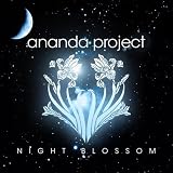 Review Amanda Project  / Night Blossom: Fire Flower Revised