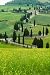Wallmonkeys Peel and Stick Wall Decals - Winding Country Road - Removable Graphic