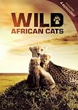 Wild African Cats