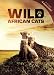 Wild African Cats