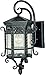 Maxim 30123CDCF Scottsdale 1-Light Outdoor Wall Lantern, Country Forge Finish, Seedy Glass, MB Incandescent Incandescent Bulb , 100W Max., Dry Safety Rating, Standard Dimmable, Glass Shade Material, 5750 Rated Lumens