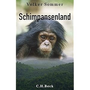 Schimpansenland: Wildes Leben in Afrika