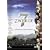 Seven Dwarfs [DVD]