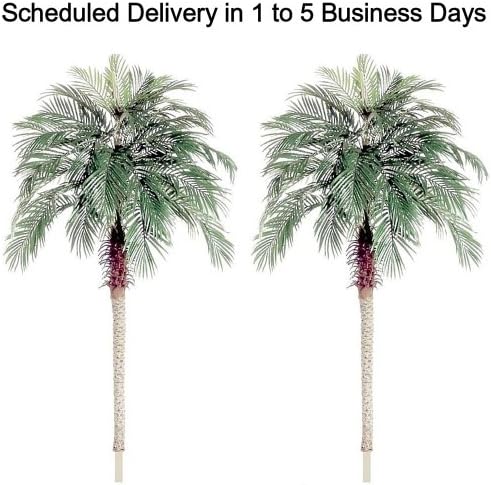SPJPLANTS Box of Two Silk Artificial 7 foot Phoenix Date Palm Tree Plants