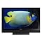 Best of the Best HDTVs
