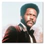 Richard Roundtree Color Box Canvas Print Gallery Wrapped (Shaft's Big Score!)