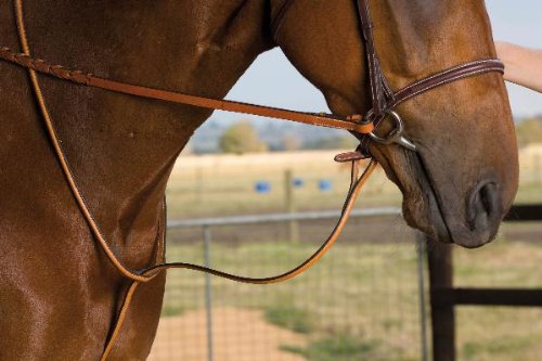 Crosby Raised Standing Martingale