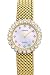 Euro Geneve 14K Gold Ladies Watch with 2.1 Carat Diamonds