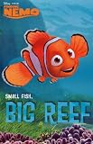 Finding Nemo (Small Fish, Big Reef) Movie Poster Print - 24 X 36