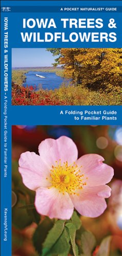 iowa trees  wildflowers a folding pocket guide to familiar species pocket naturalist guide series