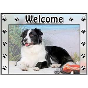 Border Collie Welcome Sign