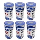 Intex 59900E-6 Easy Set Pool Replacement Type A Filter Cartridge, 6-Pack