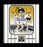 Joe DiMaggio New York Yankees Career Collage Framed 8x10 Photograph with Team Medallion