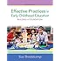 Effective Practices in Early Childhood Education: Building a Foundation (2nd Edition)