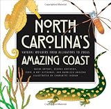 North Carolinas Amazing Coast: Natural Wonders from Alligators to Zoeas