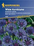Eigenschaften Kiepenkerl - Blumen-Saatgut  / Centaurea cyanus Kornblume himmelblau