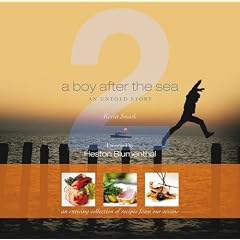 A Boy After the Sea 2