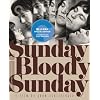 Sunday Bloody Sunday (The Criterion Collection) [Blu-ray]