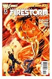 Fury of Firestorm the Nuclear Men #2 