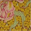 Phillip Jacobs Tulip Yellow