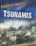 Cover for 9781599204260