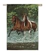 Running Horse HORSES large BANNER flag garden DCOR