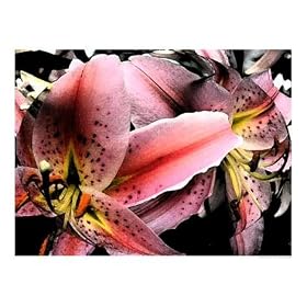 Alive1 Abstract Photographic Poster Print by Alyssa Wolper-Russell, 20x16