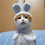 キャットプリン　エレガントなウサギちゃん♪　ブルー
