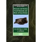 Mesozoic and Tertiary Fossil Mammals and Birds of Great Britain (Geological Conservation... by  Michael Benton, E. Cooke, D. Schreve, and A. Currant