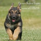 51pCPC8hacL. SL160  German Shepherd Calendar 2011