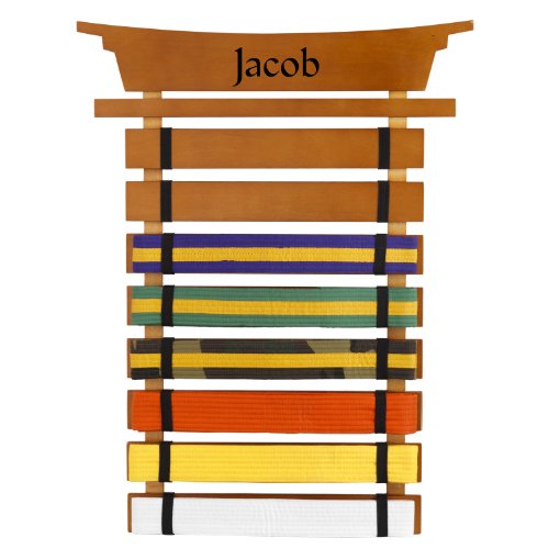 Top 5 Best personalized karate belt display for sale 2016 BOOMSbeat