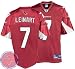 Mens Matt Leinart #7 Arizona Cardinals Stitched EQT Premier Replithentic NFL Jersey by Reebok (CAR(Size=XX-LARGE)