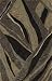 Modern Area Rug Contemporary CARPET PLUSH Fern 27