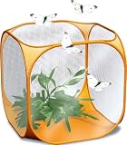 Eigenschaften HCM  / Schmetterling Beobachtungs- und Aufzucht-Set mit Gutschein