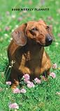 Dachshunds 2009 Weekly Pocket Planner Calendar