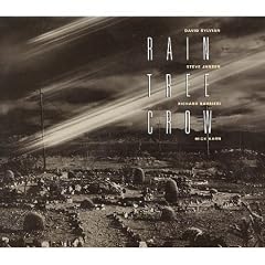 Rain Tree Crow
