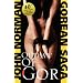 Outlaw of Gor