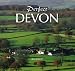 Perfect Devon (Halsgrove Railway Series)