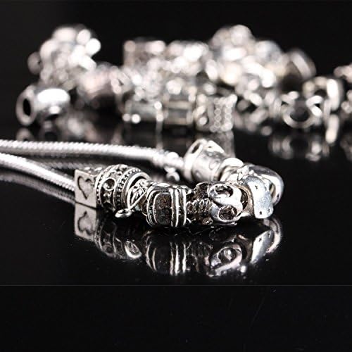 Mujeres Divinas 100pc Lot Silver Lampwork Murano Glass European Mix Beads to Fit Pandora Style Charm Bracelets-Metal Beads